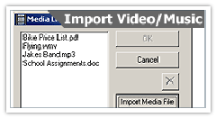 Import video, music, and office files into your website using the Media Library feature.